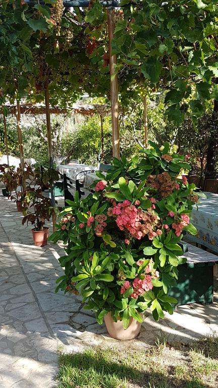 Castello Bellos Studios Keri Ngoại thất bức ảnh
